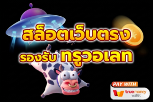 ระบบฝากถอนวอเลทอัตโนมัติ